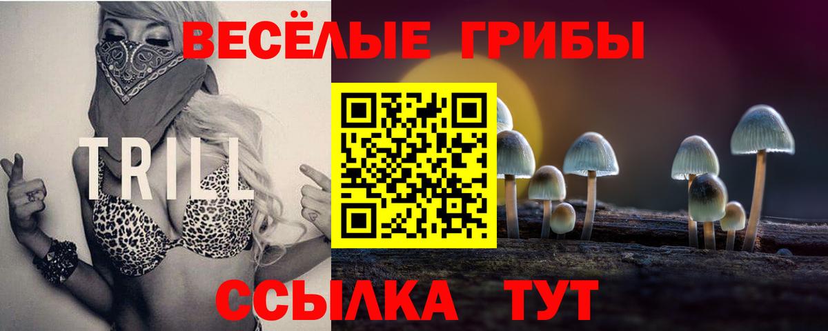 Галлюциногенные грибы Cubensis Гай